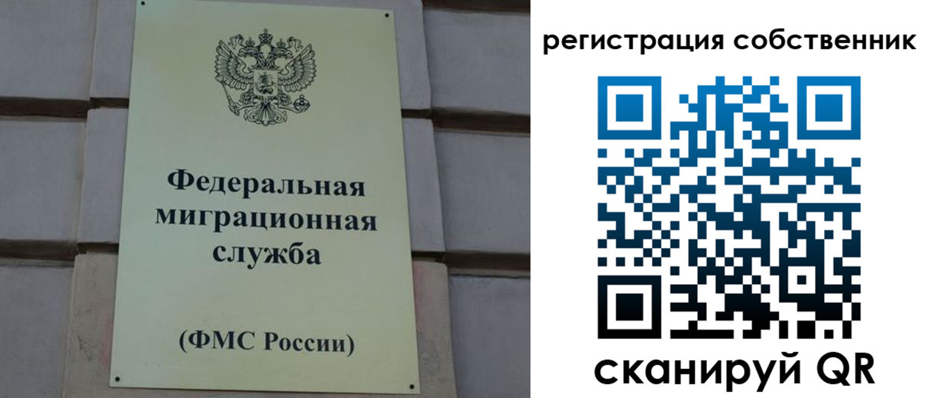 прописка гарантия в Эртили